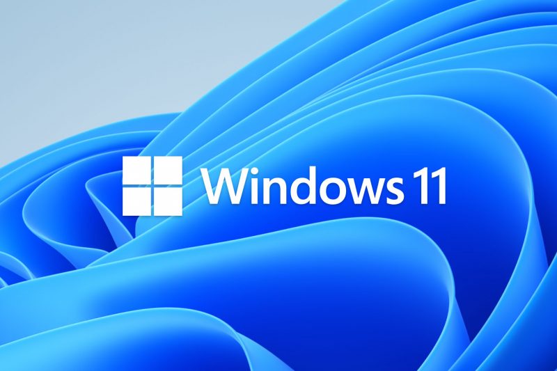 Bloom Windows 11 Logo